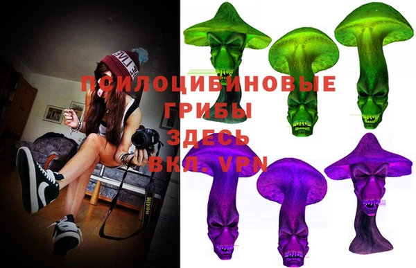 PSILOCYBIN Алзамай
